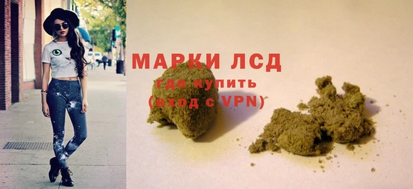 гидра Верея