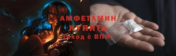 гидра Верея