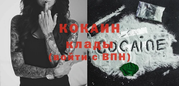 гидра Верея
