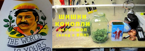 гидра Верея